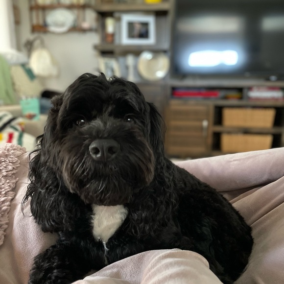 Meet your Posher, Beef/Kyle!! Please comment so I can check out your closet too! - Picture 5 of 7